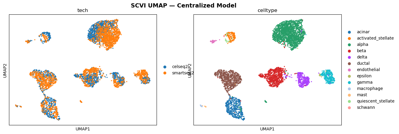 UMAP after centralized scVI batch correction