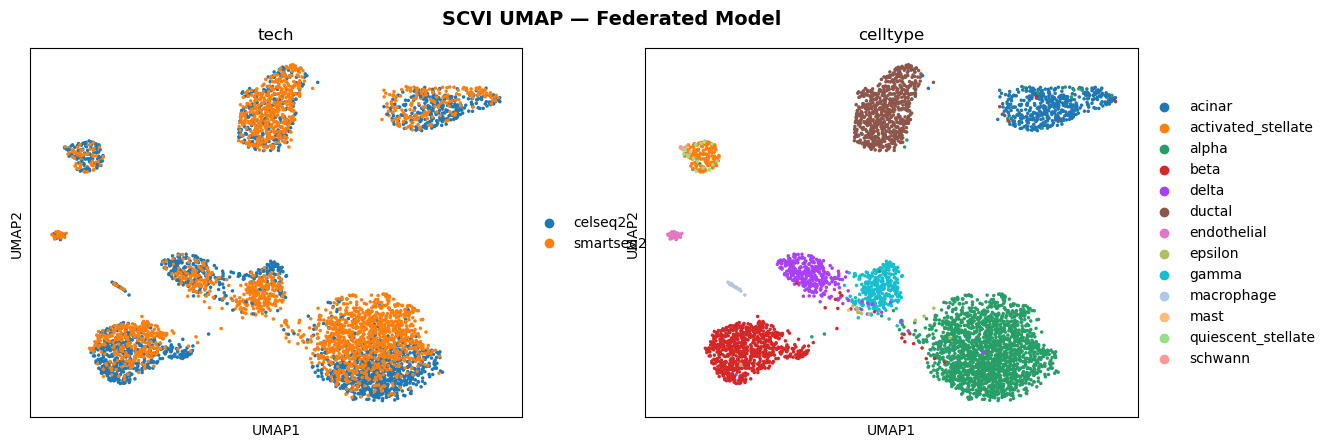 UMAP after federated scVI batch correction