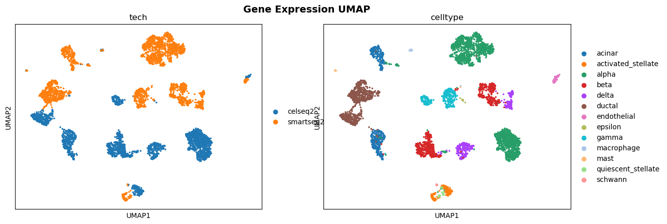 Baseline gene-expression UMAP