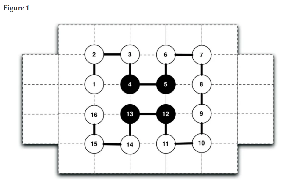Two-dimensional HP model protein-folding schematic