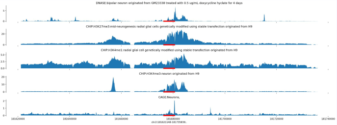 Enformer output tracks for neurons and glia