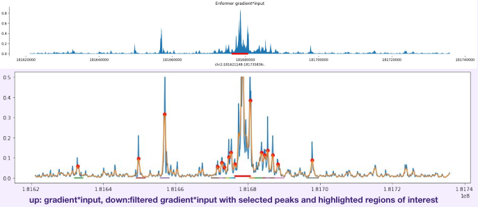 Candidate enhancer regions identified with Enformer