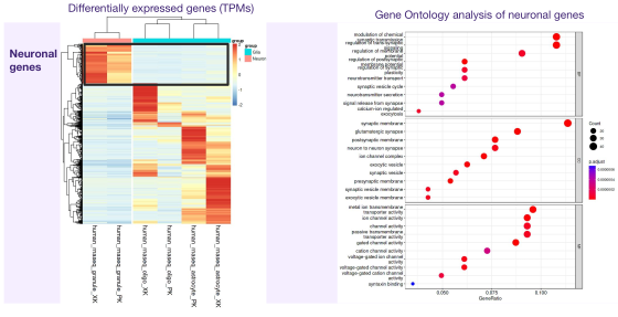 Example RNA-seq analysis