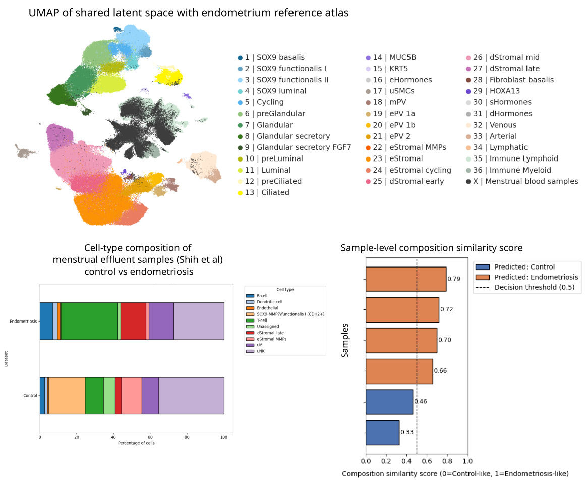 Menstrual-effluent single-cell profiles mapped to an endometrium atlas