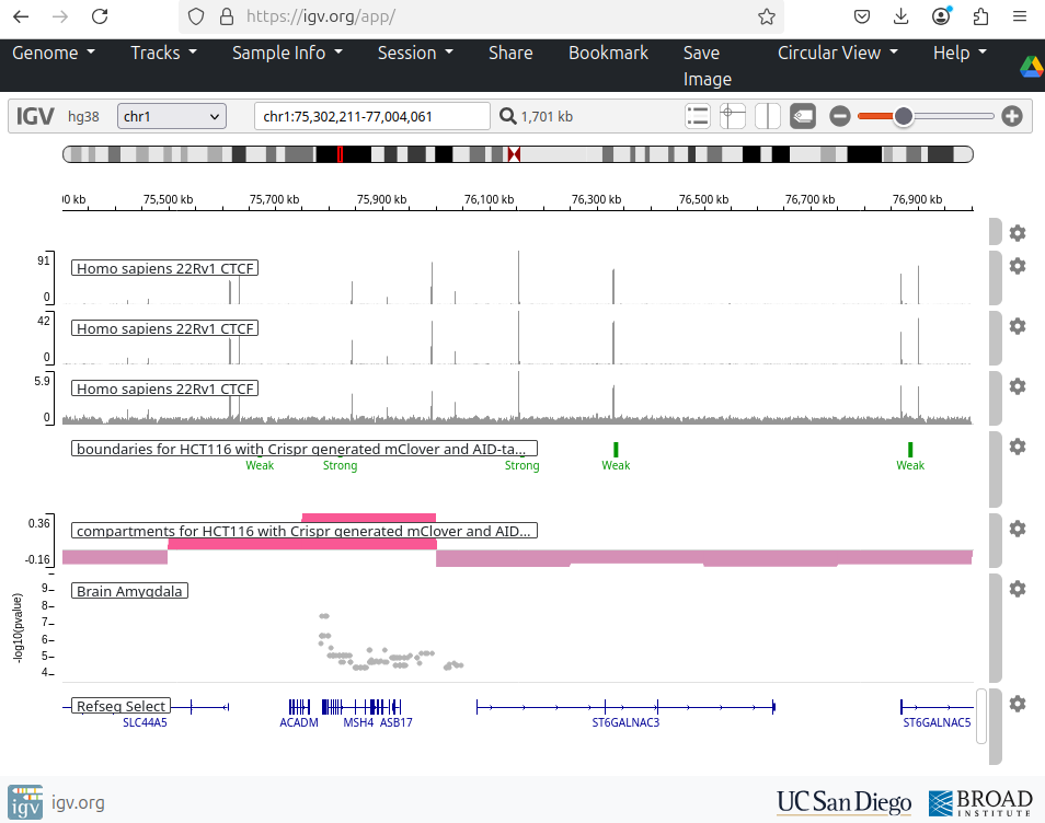 IGV web application showing genomic data tracks