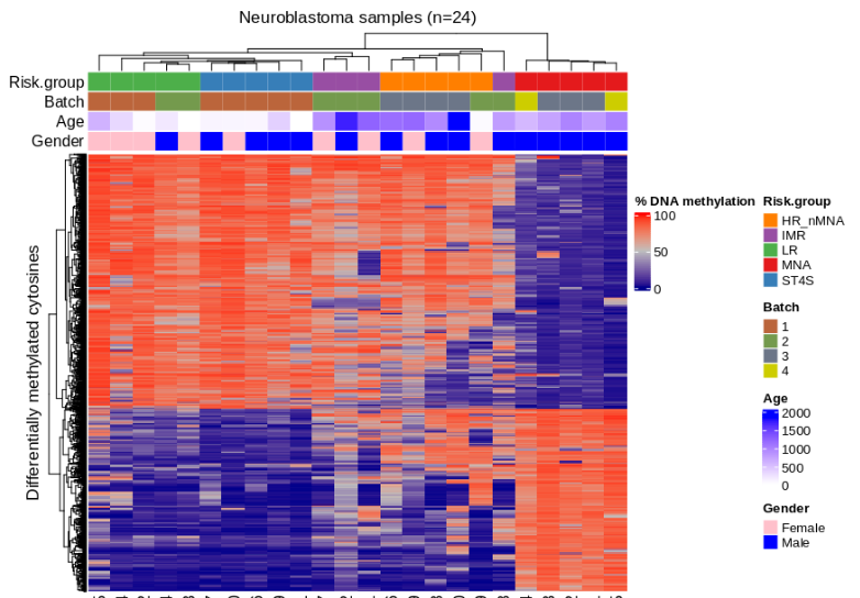 Methylation-based clustering of neuroblastoma patients