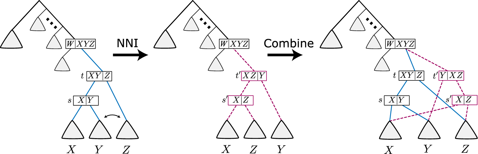 Nearest-neighbor interchange on a subsplit directed acyclic graph